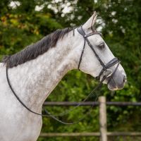Browband Skye