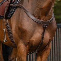 Breastplate with long bridge