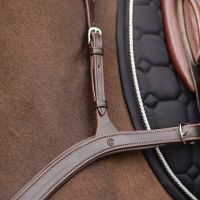 Breastplate with long bridge