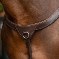 Breastplate with long bridge