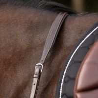 Breastplate with long bridge