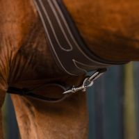 Breastplate with long bridge