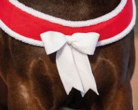 Breast strap Christmas