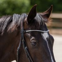 Browband Zavi