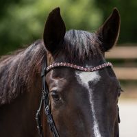 Browband Aelinn