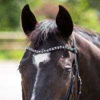 Browband Aelinn