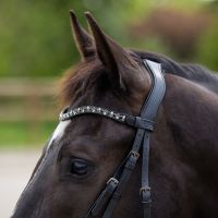 Browband Aelinn