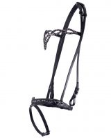 Bridle Icelandic Frosti