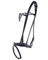 Bridle Icelandic Frosti