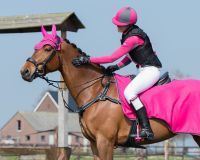 Belly guard girth with luxury stitching