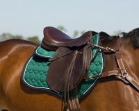 Saddle pad Eldorado