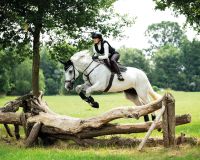 Saddle pad Eldorado