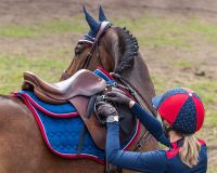 Saddle pad Eldorado