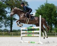 Half pad memory foam Ontario