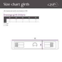 Dressage girth Ontario