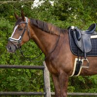 Dressage girth Ontario