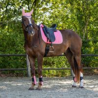 Saddle pad Florence