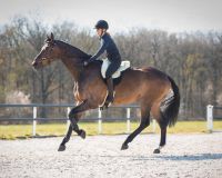 Bareback pad super soft
