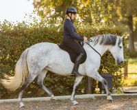 Bareback pad super soft