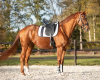 Saddle pad Kae