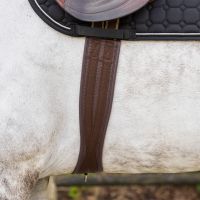 All purpose girth Basic pro