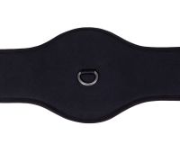 All purpose girth Memory