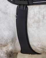 All purpose girth Memory