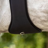 All purpose girth Memory