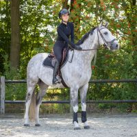 All purpose girth Air Mesh