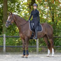 Dressage girth Air Mesh