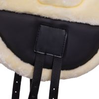 Bareback pad Ontario