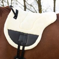 Bareback pad Ontario