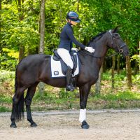 Saddle pad Number (presale)