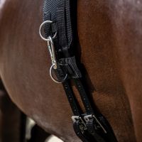 Lunging girth Padded