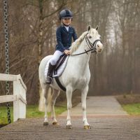 Complete saddle set Melbourne