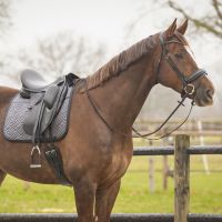 Saddle pad Sensisoft