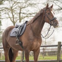 Saddle pad Sensisoft
