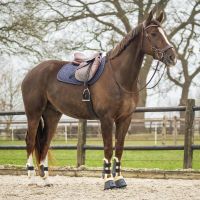 Saddle pad Sensisoft