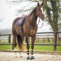 Saddle pad Sensisoft