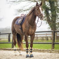 Saddle pad Sensisoft