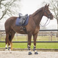 Saddle pad Sensisoft