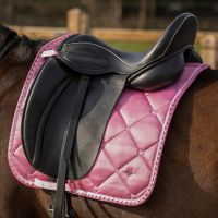 Saddle pad Lyvia