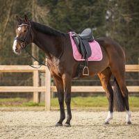 Saddle pad Lyvia