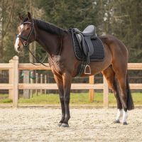 Saddle pad Firenze