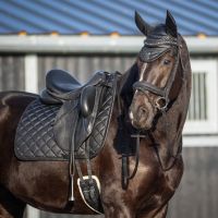 Dressage girth Glitter