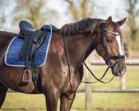 Saddle pad Avyra