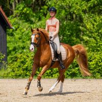 Saddle pad Victorio