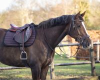 Saddle pad Victorio