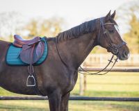 Saddle pad Victorio