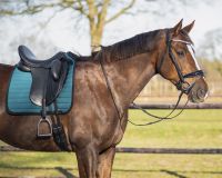 Saddle pad Victorio